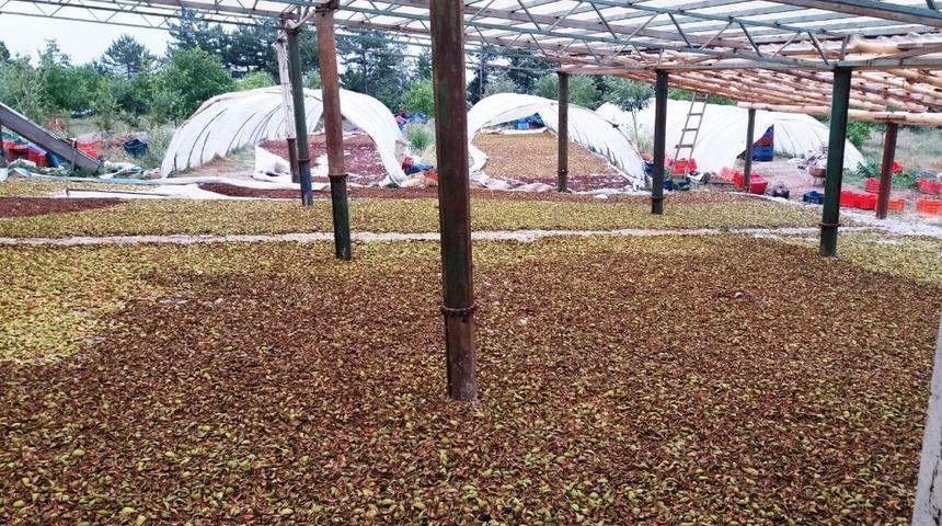 300 kişiye iş imkanı sağlayan girişimciye ’elektrik verilmiyor’ iddiası