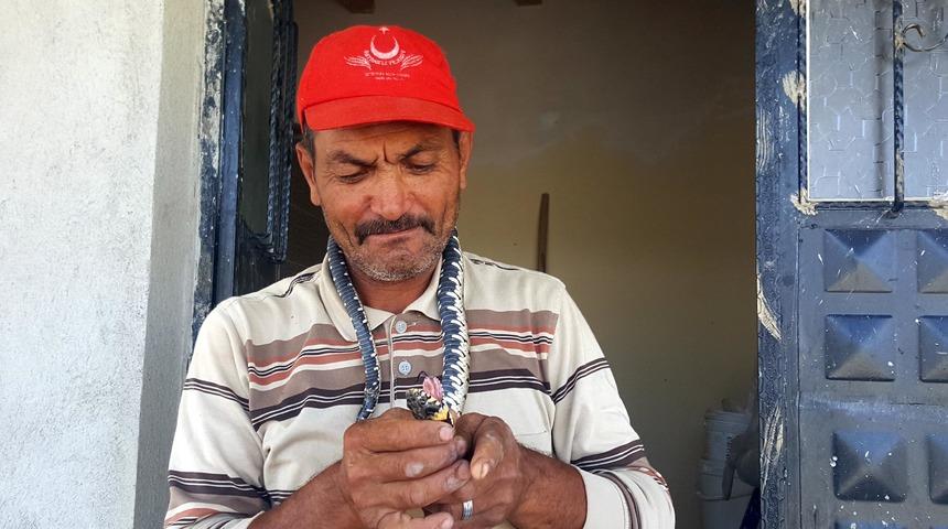 Eve giren yılanı elleriyle yakalayıp, doğaya bıraktı