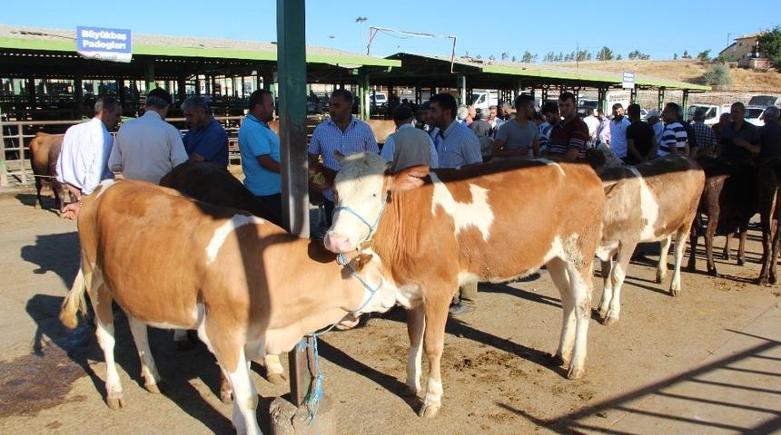 Et &uuml;reticilerinden &rsquo;ithal et ve hayvan&rsquo; tepkisi