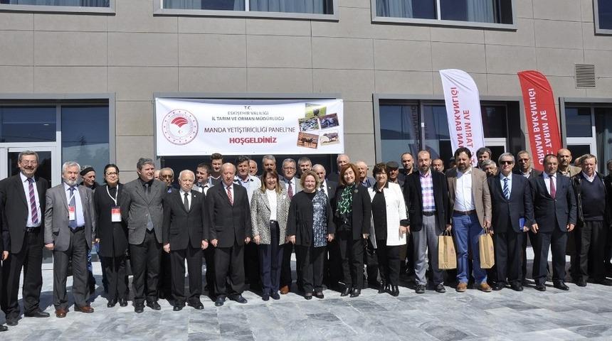 Eskişehir’de Damızlık Manda Yetiştiricileri Birliği kuruldu