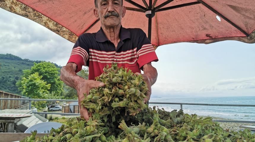 Fındık tezgaha indi! Kilosu 15 lira