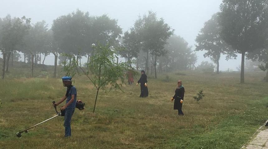 Emet Cevizdere Şehitliği’nde temizlik çalışmaları tamamlandı