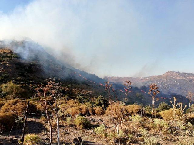 İtfaiye, Bodrum yangınına 56 personelle müdahale etti