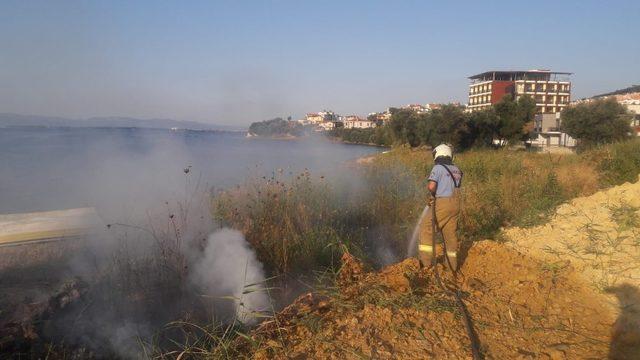 Burhaniye’de ot yangını ağaçlara zarar verdi 1