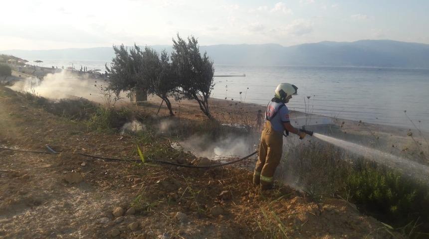Burhaniye&rsquo;de ot yangını ağa&ccedil;lara zarar verdi