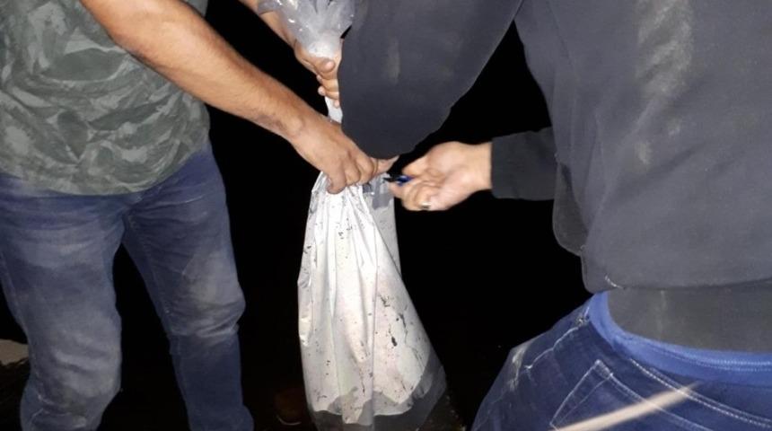 Van&rsquo;daki g&ouml;l ve g&ouml;letlere 250 bin yavru balık bırakıldı