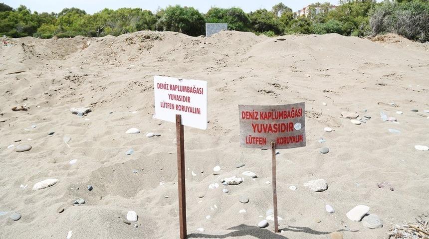 Mezitli Belediyesi, Davultepe 100. Yıl Plajı planına itiraz etti