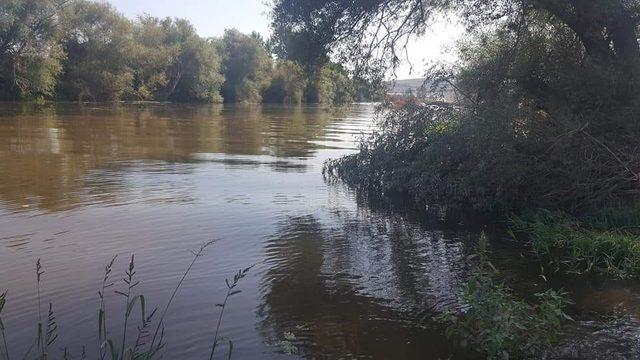 Kepsut’ta balık ölümlerinin oksijensizlikten olduğu açıklandı