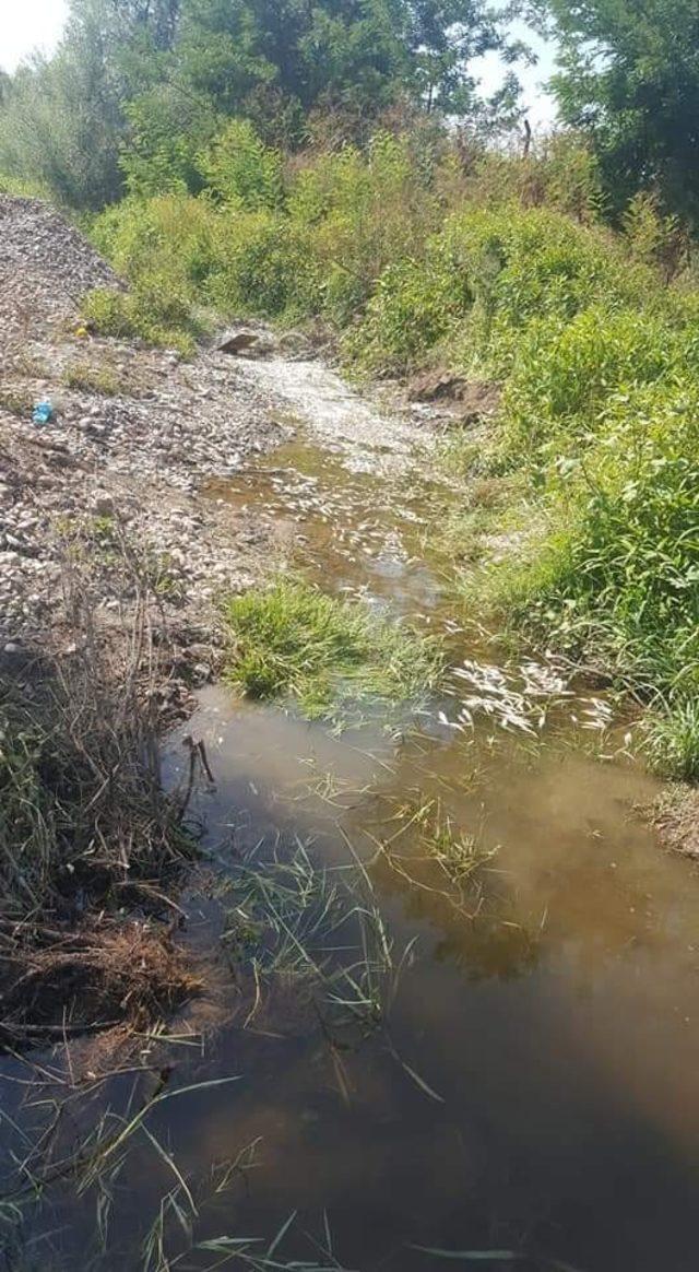 Kepsut’ta balık ölümlerinin oksijensizlikten olduğu açıklandı