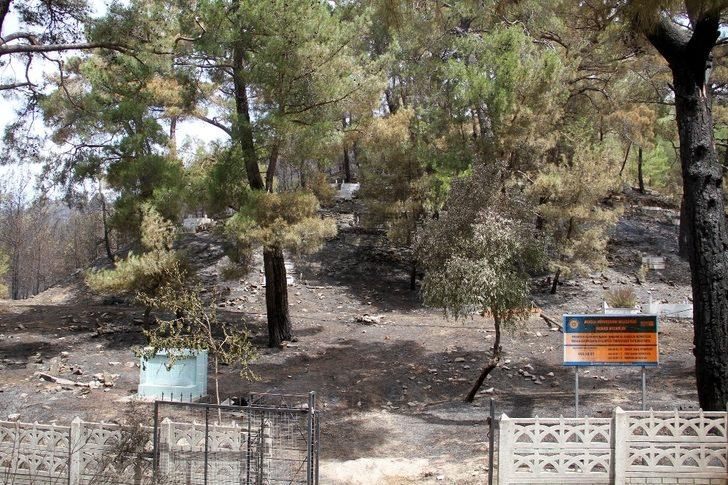 Dalaman'da çıkıp Fethiye’ye sıçrayan yangın söndürüldü G2