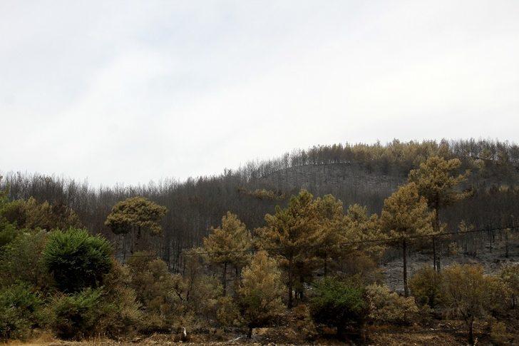 Dalaman'da çıkıp Fethiye’ye sıçrayan yangın söndürüldü G5