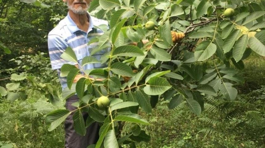 Camide öz kardeşini öldürdü