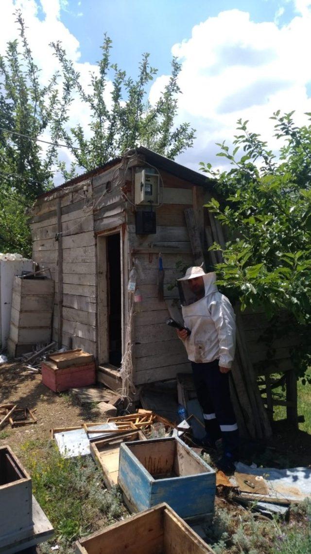 Arıcı değil endeks okuma görevlisi