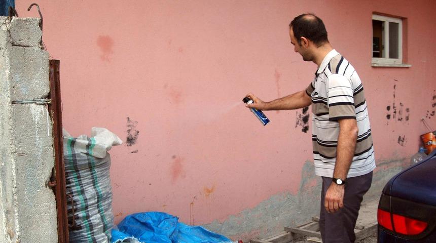 Mahalleyi böcekler bastı! "Milyonlarca var"