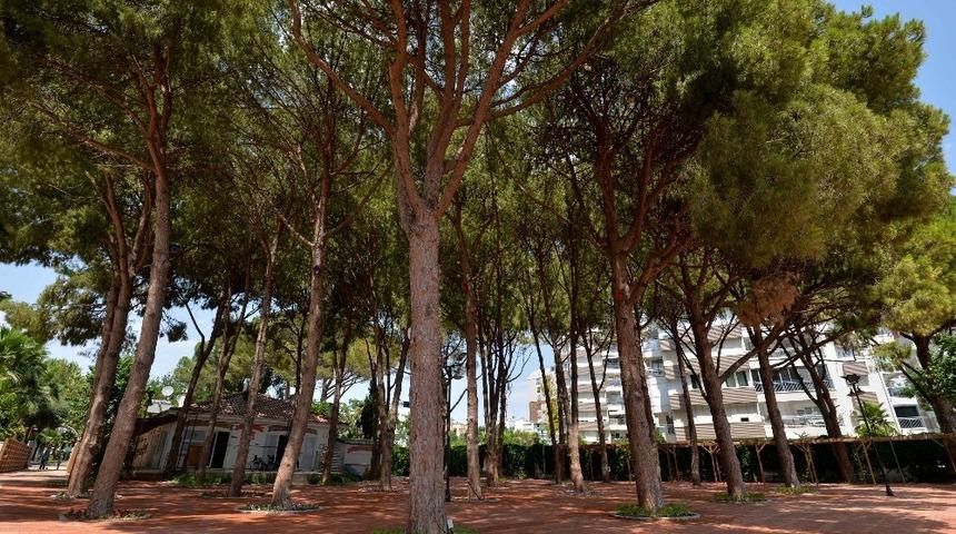 Engelsiz Kafe’de sona doğru