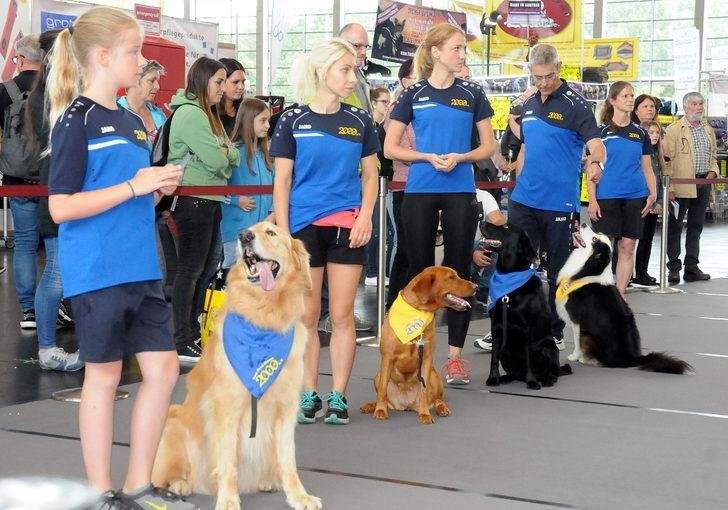 En güzel seçilmek için yarıştılar G3