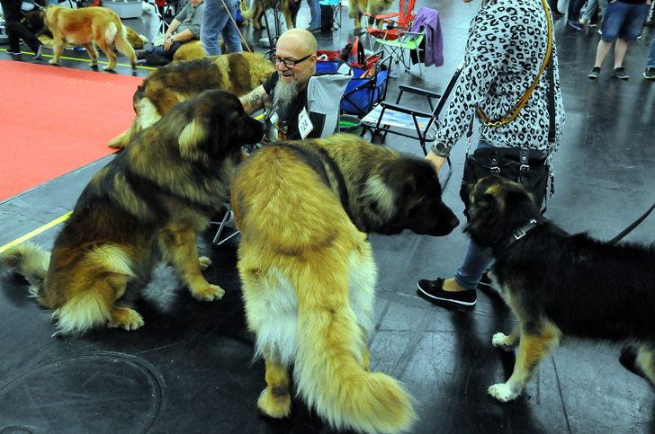 En güzel seçilmek için yarıştılar G5