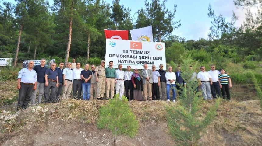 15 Temmuz Demokrasi Şehitleri Hatıra Ormanı&rsquo;na fidan dikildi