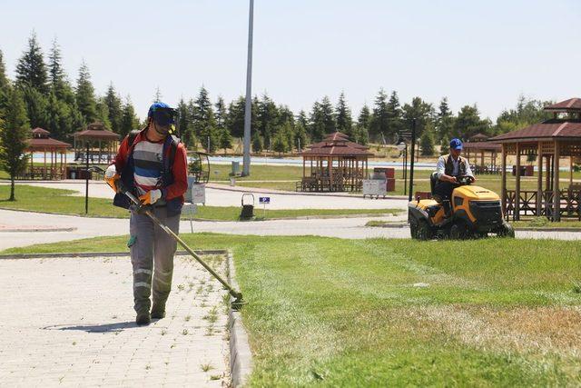 Karaman Belediyesinden çevre ve yeşil alan çalışmaları