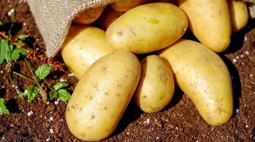 AK Parti Niğde Milletvekili Selim Gültekin'den 'patates ithalatı' açıklaması