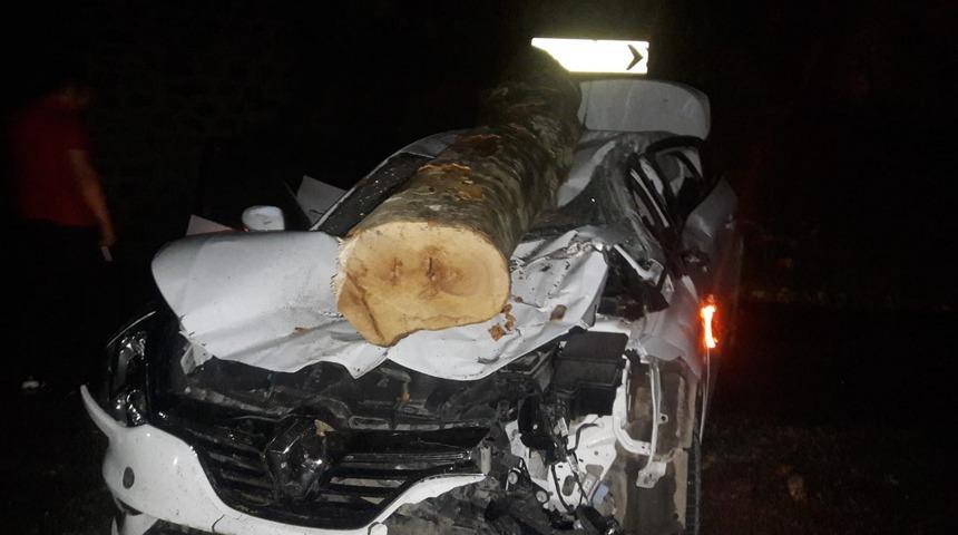 Otomobilin üzerine tomruk düştü! 40 dakika böyle beklediler