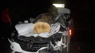 Otomobilin üzerine tomruk düştü! 40 dakika böyle beklediler