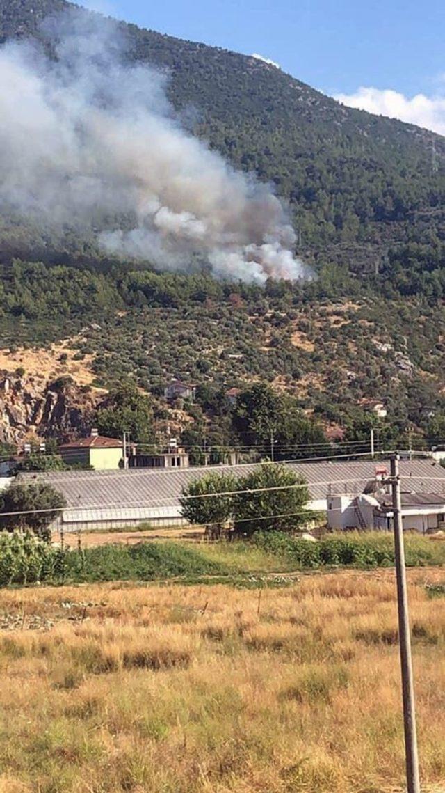 Fethiye’de orman yangını