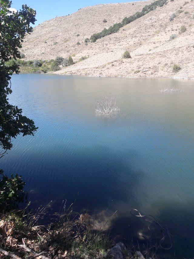 Gölete giren iki arkadaştan biri kurtuldu, diğer kayboldu