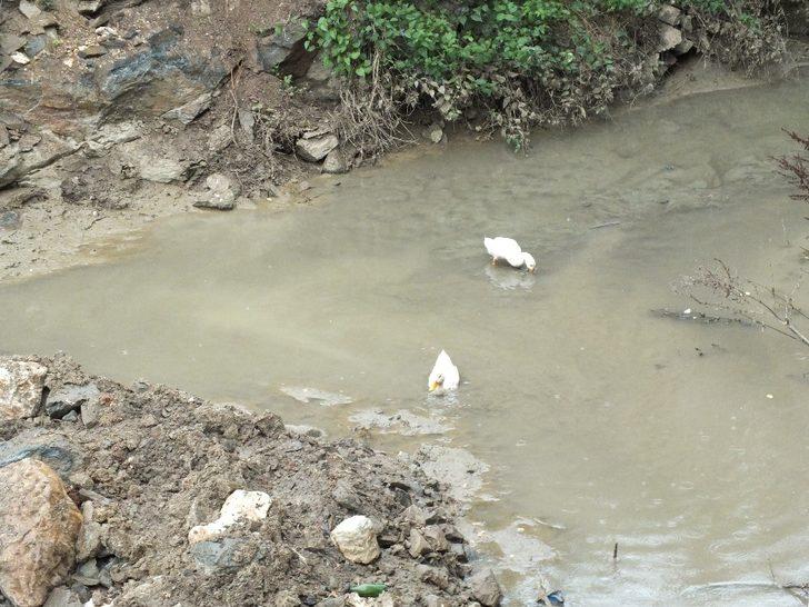 Pazaryeri’nde dere ıslah çalışmalarında sona gelindi G4