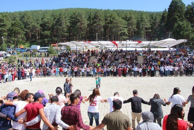 Şirankes Bal Festivali renkli görüntülere sahne oldu