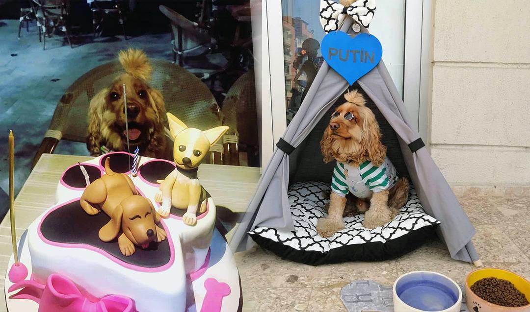 Putin'e doğumg&uuml;n&uuml; s&uuml;rprizi!