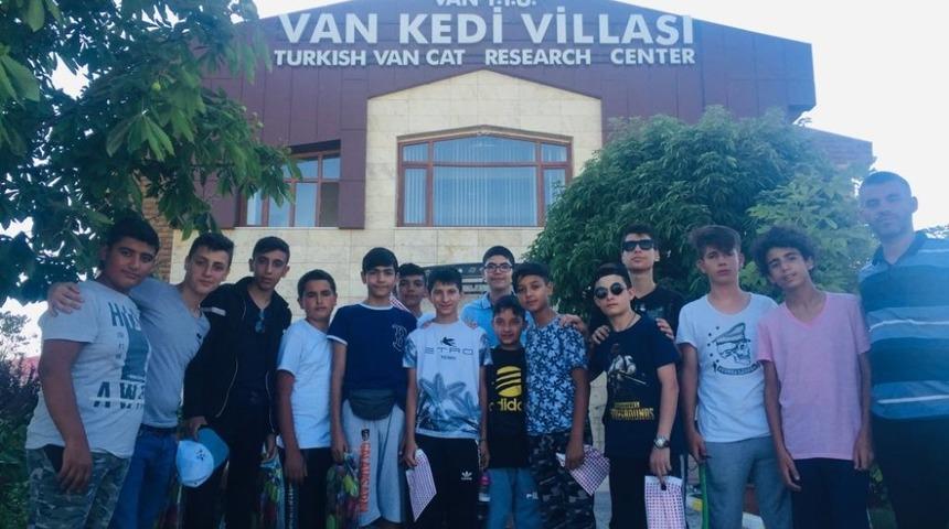 Tekirdağlı &ouml;ğrenciler Van kedisini sevdi