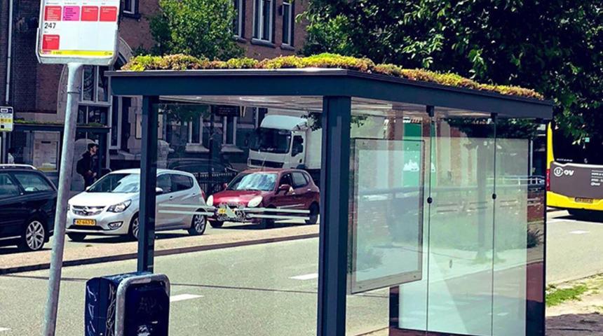 Arılar i&ccedil;in otob&uuml;s duraklarına &ouml;yle bir şey yaptılar ki g&ouml;ren hayret ediyor!