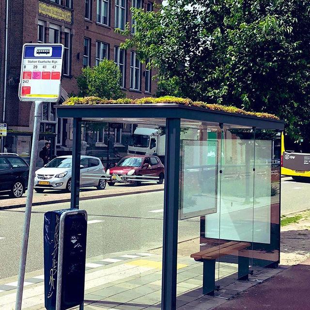 city-in-netherlands-transforms-bus-stops-into-bee-stops-utrecht-1-5d284e36cbb1f__700