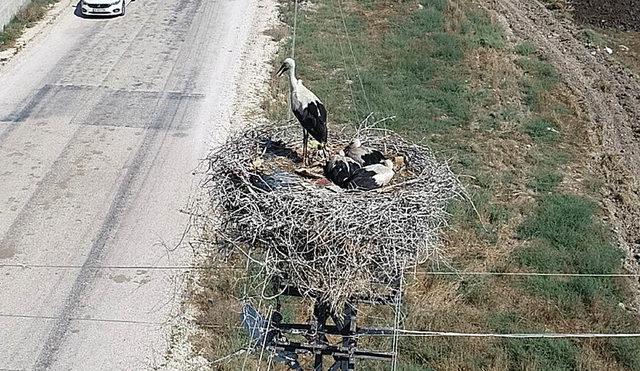 Mersin'in 'leylekli' köyü