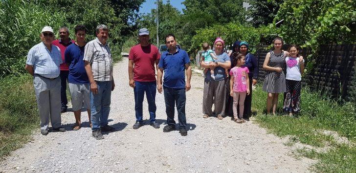 Tozla baş edemeyince seradaki domateslerini söktü G2