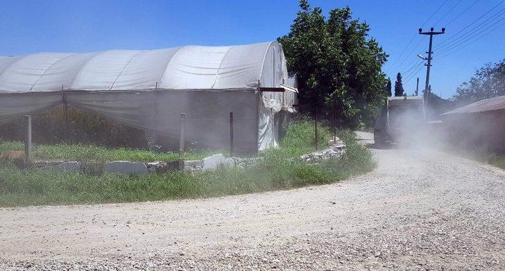 Tozla baş edemeyince seradaki domateslerini söktü G5