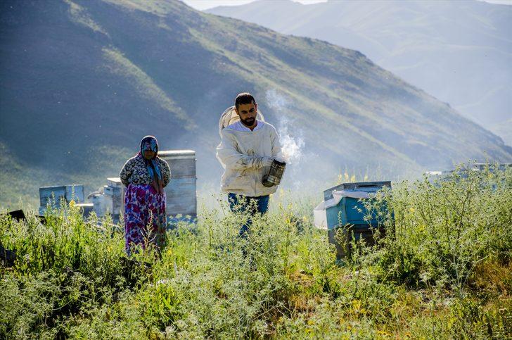Lavanta kokulu bala talep arttı G1