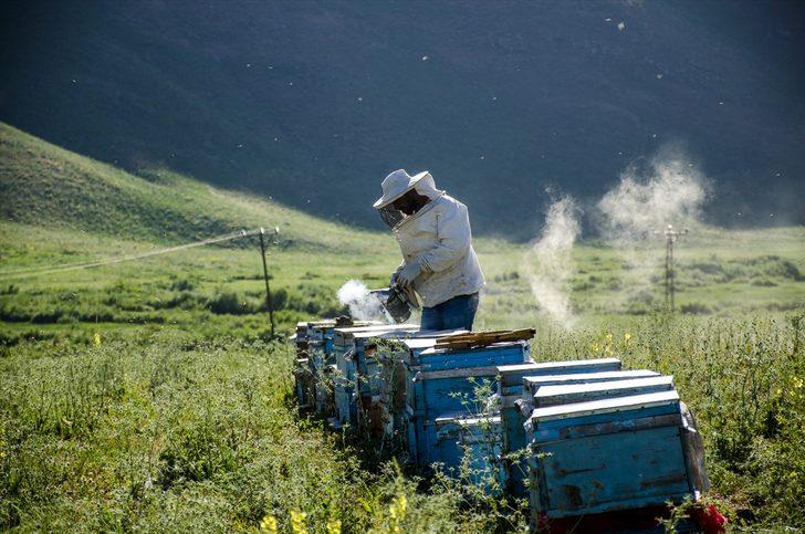 Lavanta kokulu bala talep arttı G2