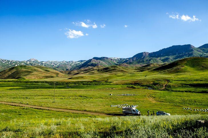 Lavanta kokulu bala talep arttı G3