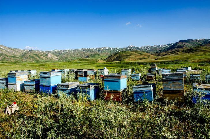 Lavanta kokulu bala talep arttı G5