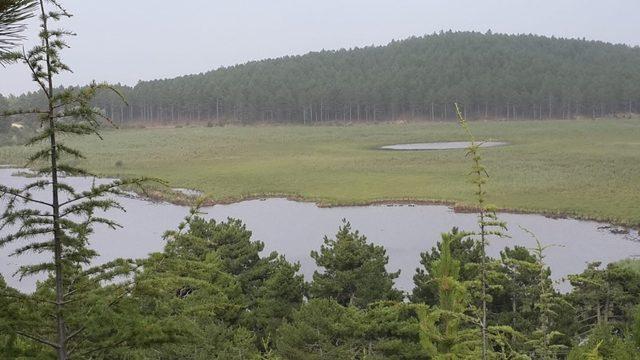 Buldan Yayla Gölü’nde torf çıkarma işlemi devam ediyor