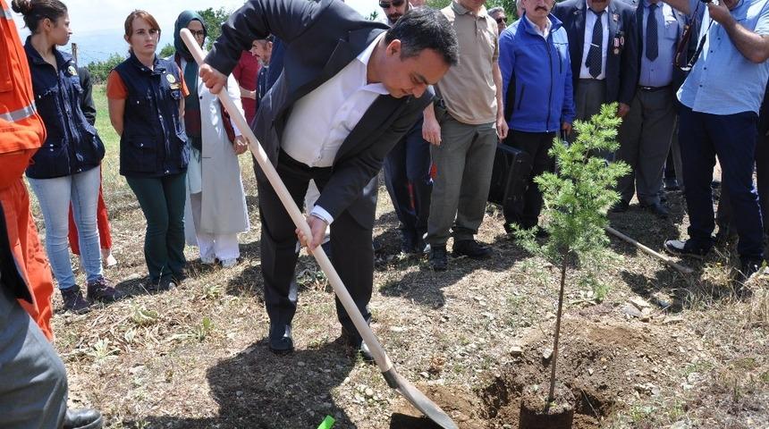 Simav&rsquo;da &rsquo;15 Temmuz Demokrasi Şehitleri&rsquo; anısına hatıra ormanı