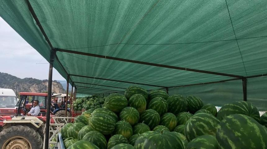 Karpuz pazarı çiftçilerin umudu oldu