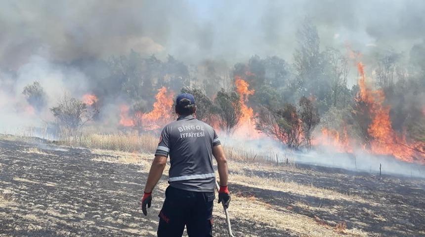 Bing&ouml;l&rsquo;de 200 d&ouml;n&uuml;m arazi k&uuml;le d&ouml;nd&uuml;