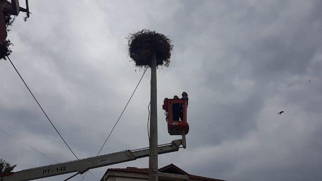 Sakat yavru leyleği, elektrik firması ekipleri kurtardı