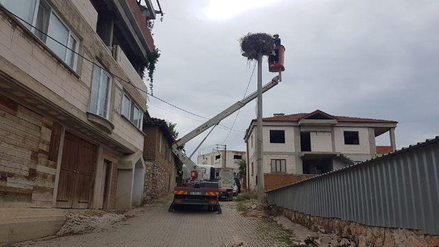 Sakat yavru leyleği, elektrik firması ekipleri kurtardı