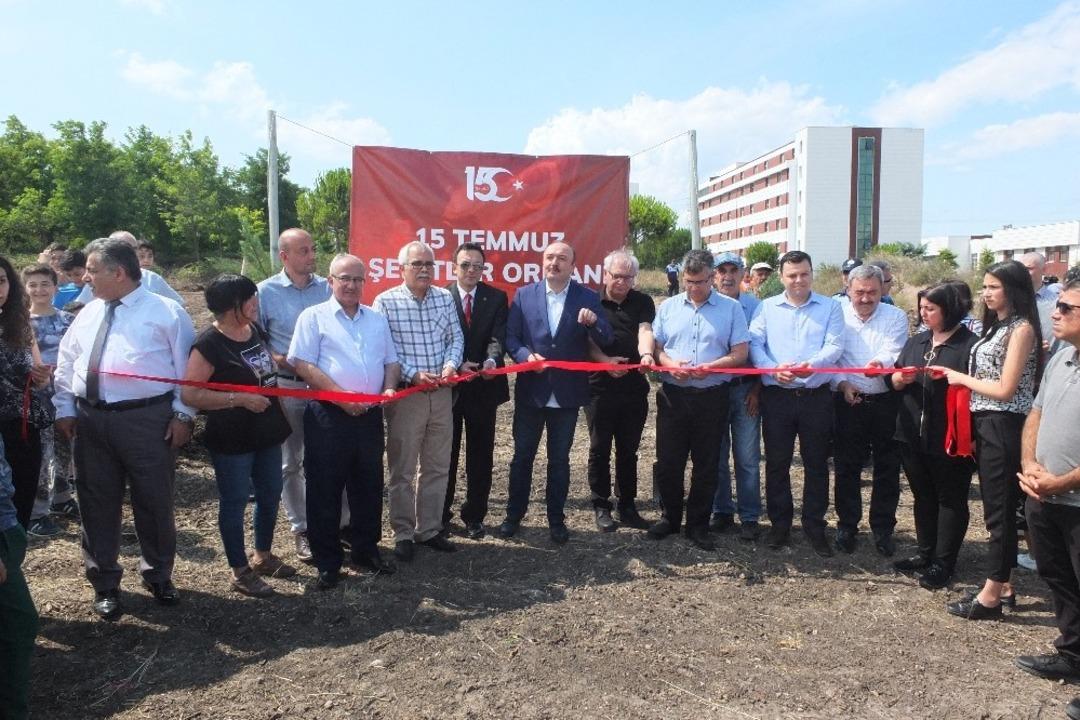 251 şehit i&ccedil;in 251 fidan toprakla buluştu