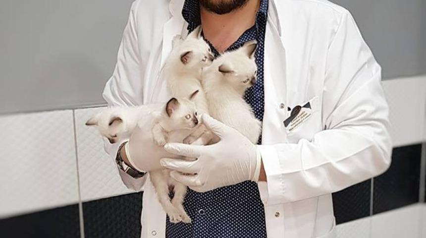 Aydın Veterinerler Odası Başkanı Şahin sert &ccedil;ıktı