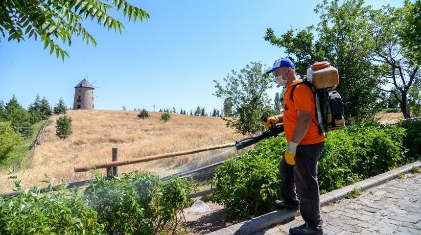 Altınköy ilaçlandı